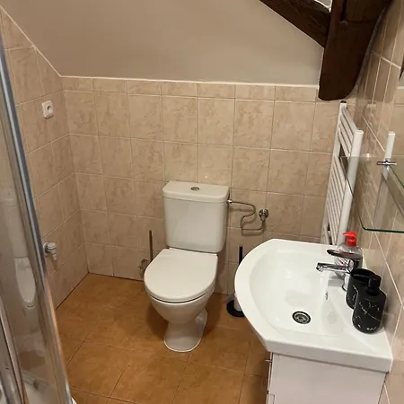 Ubytovani 1Kk Ve Zlonicich Slany Exterior photo