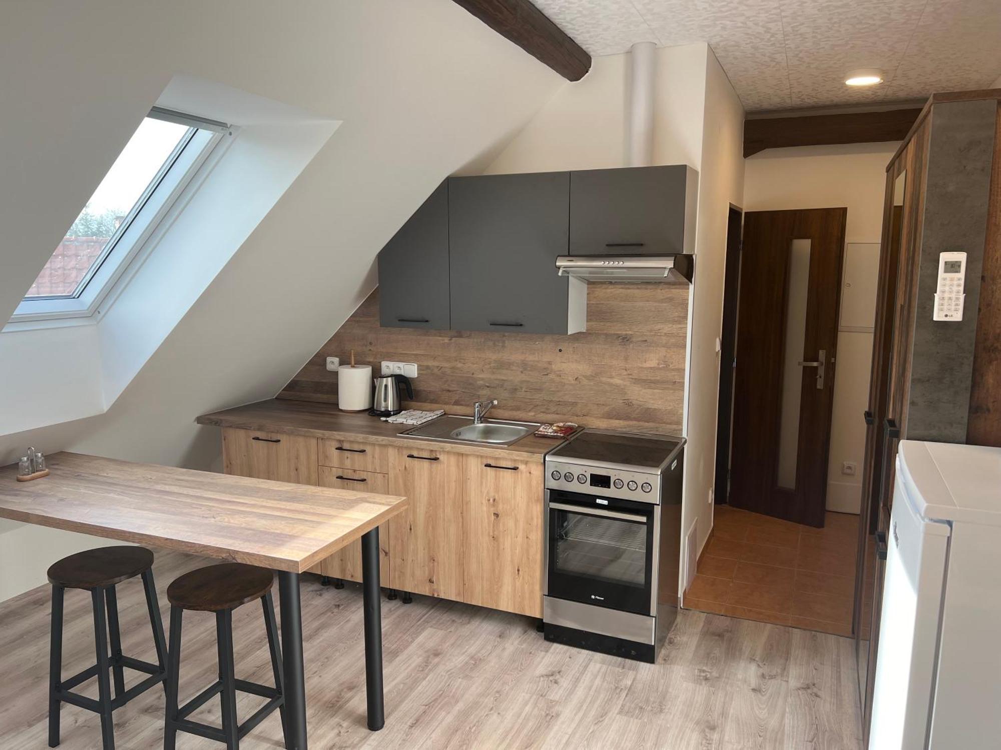 1kk Ve Zlonicich Apartment Slany