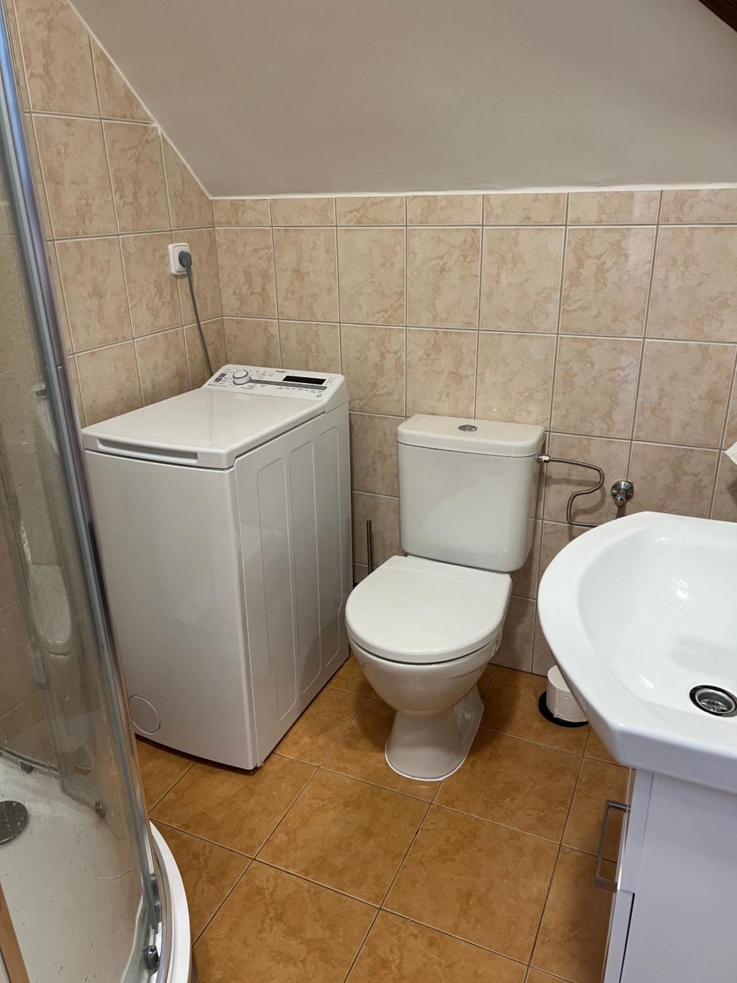 Apartment 1kk Ve Zlonicich *